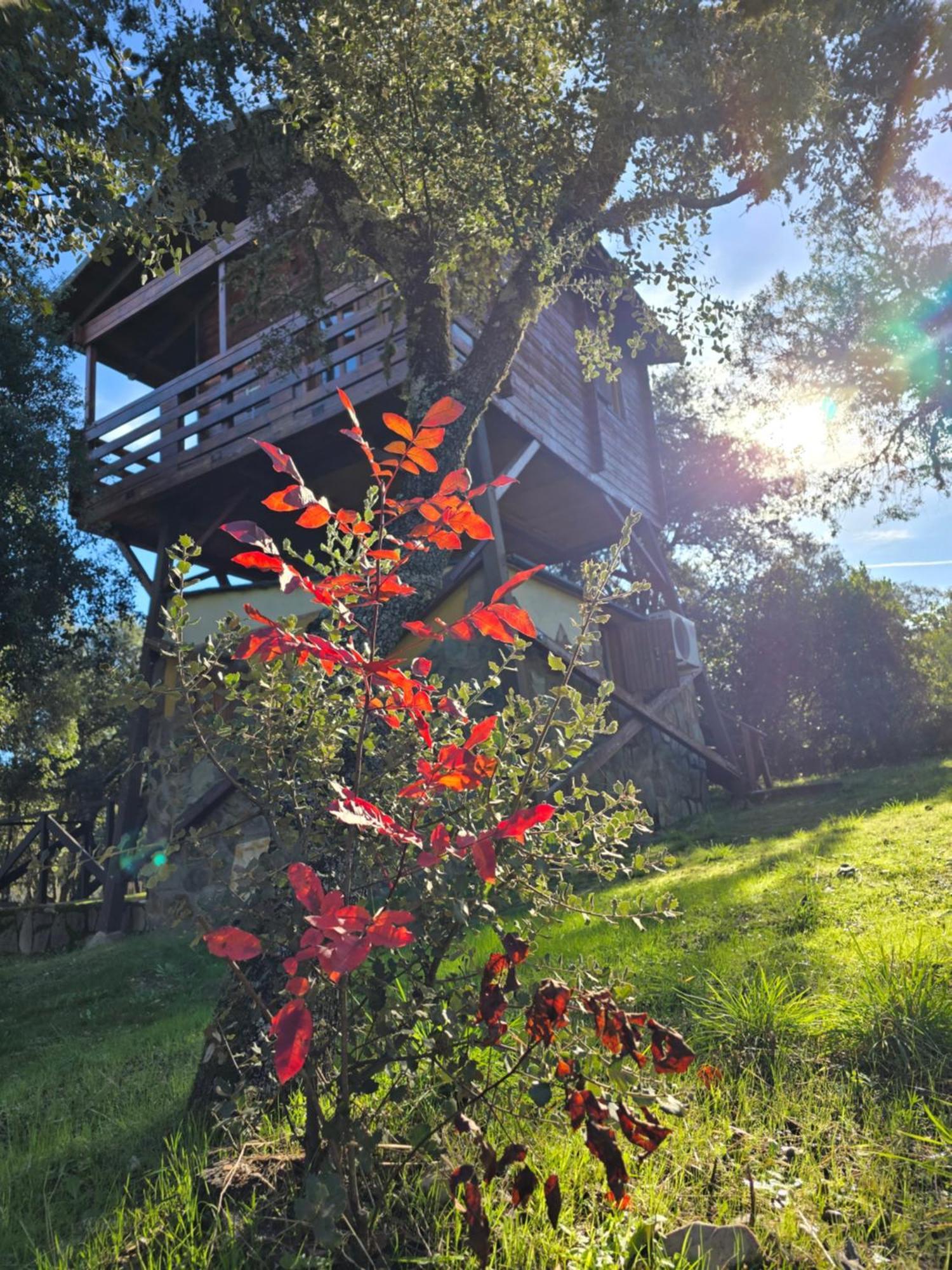 Nuevo Ecolodge Cabaneros Retuerta de Bullaque Exterior photo
